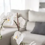 Apartamento Charming Ribeirao Retreat With Balcony Vila Nova de Famalicão