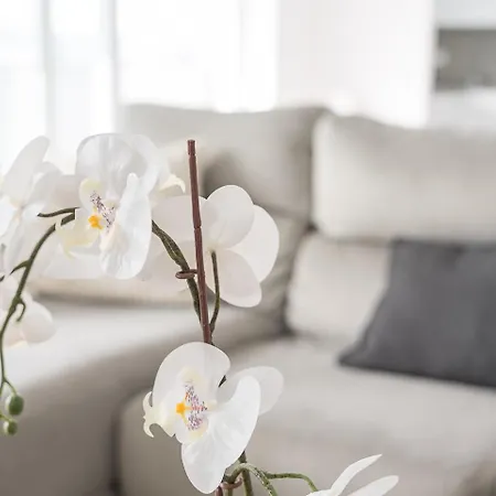 Apartment Charming Ribeirao Retreat With Balcony Vila Nova de Famalicao